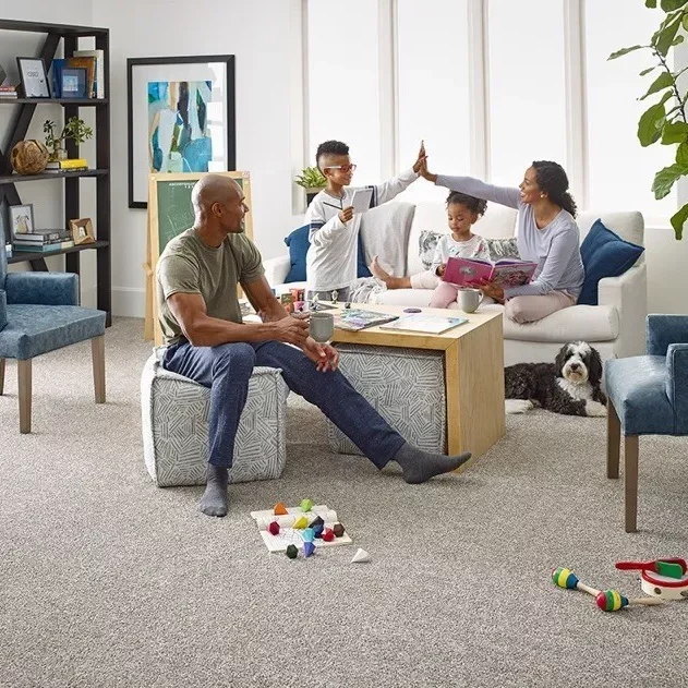 Midnight-Snack-HDE81-00102-Family-Room-Model-100 Carpet | Rockwall Flooring & Design